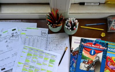 Leave it to us: teachers dismiss maths crisis claims